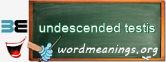 WordMeaning blackboard for undescended testis
